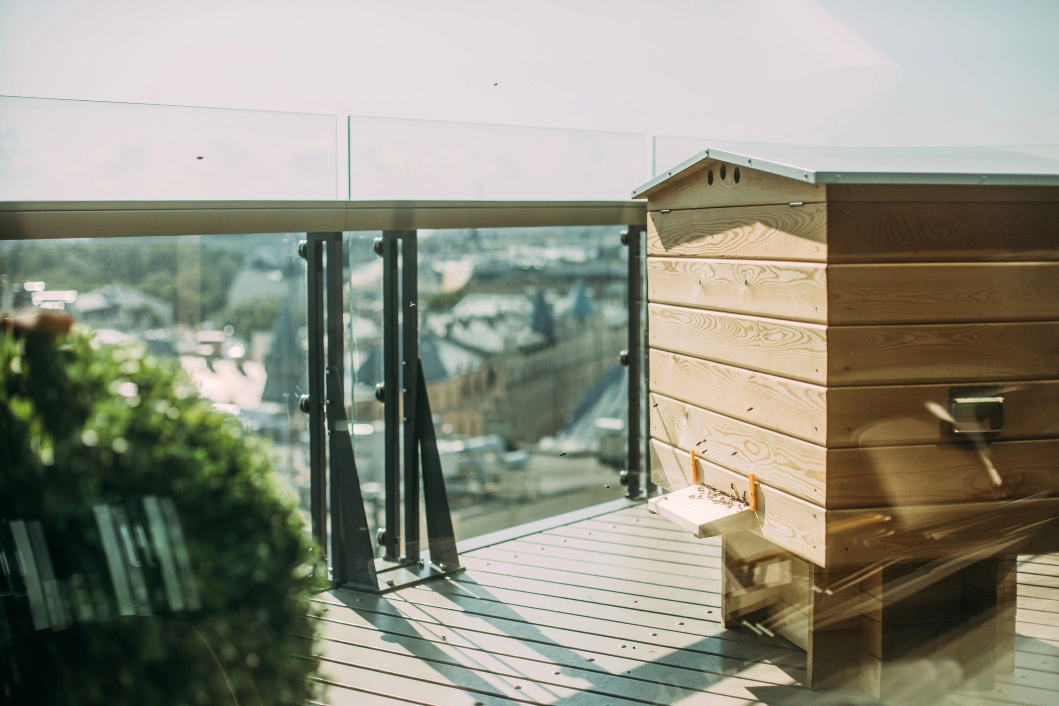 Community enjoying rooftop sauna